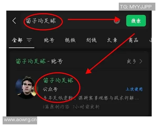 法甲联赛精彩对决斯特拉斯堡与布雷斯特赛前全面分析及预测比分